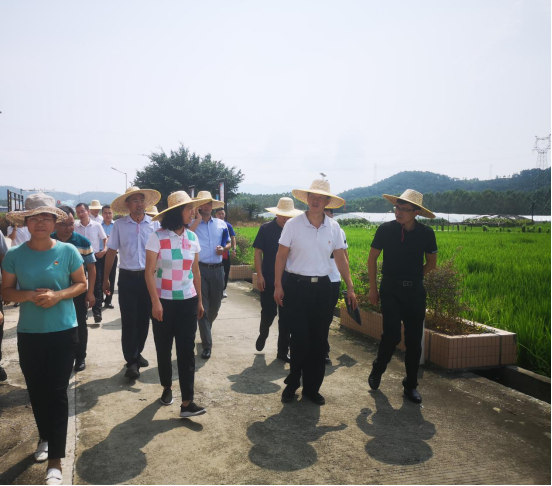 首页| CA88集团中国唯一官方网站